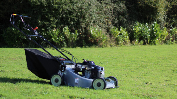 Piranha P21HS Self Drive Lawnmower